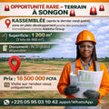Terrain à Vendre à SONGON Kassemblée